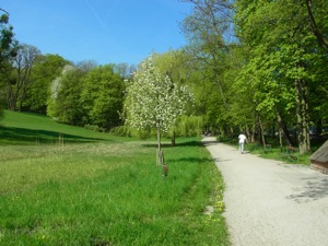 Plötzleinsdorfer Park