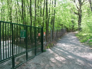 Punzettor