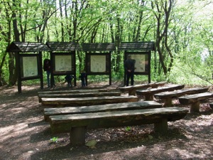 Waldschulklasse
