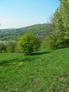 R0011176