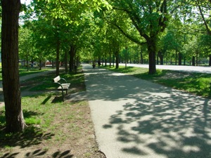 R0011254