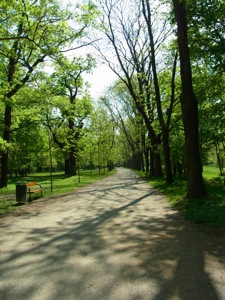 R0011261