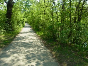 R0011265
