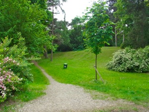 R0011333