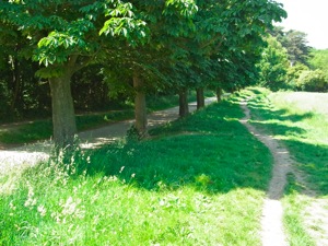 R0011469