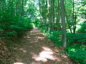 R0011480