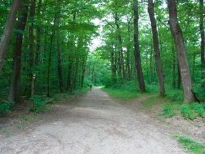 R0011498