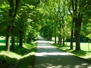 R0011542