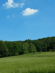 R0011603