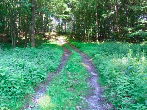 R0011739