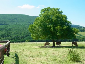 Hametberg