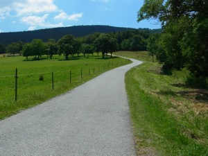 R0011817