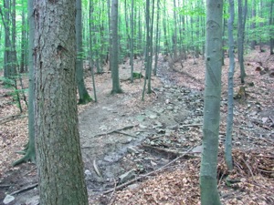R0011826