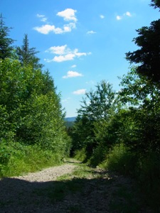 R0011857