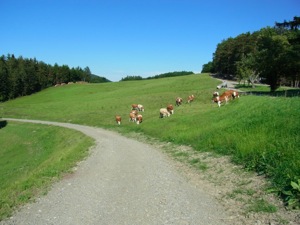 R0011874