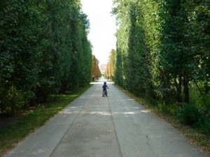 R0012529