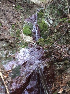 高塚の清水
