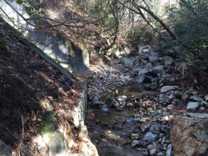 沢の左に、階段状の水路がある。