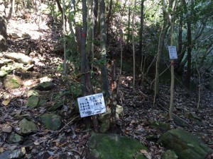 F6, F7 に行く道と、それを高巻く道の分岐。
