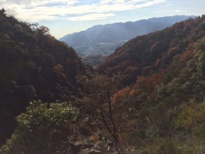 巻道の上の岩峰からの眺望。