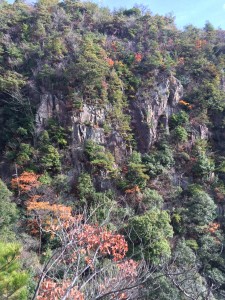 対岸の岩壁。