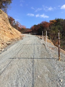 林道状の道。