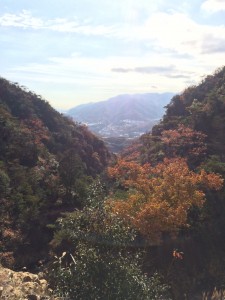 造成された道の上から惣川谷支流を振り返る。