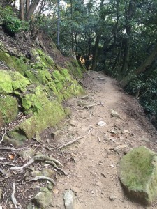 奥之院参道。