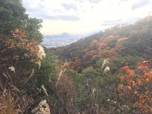 奥之院参道から兜山を望む。