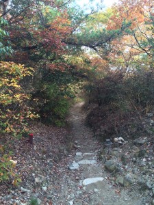 奥之院旧参道。